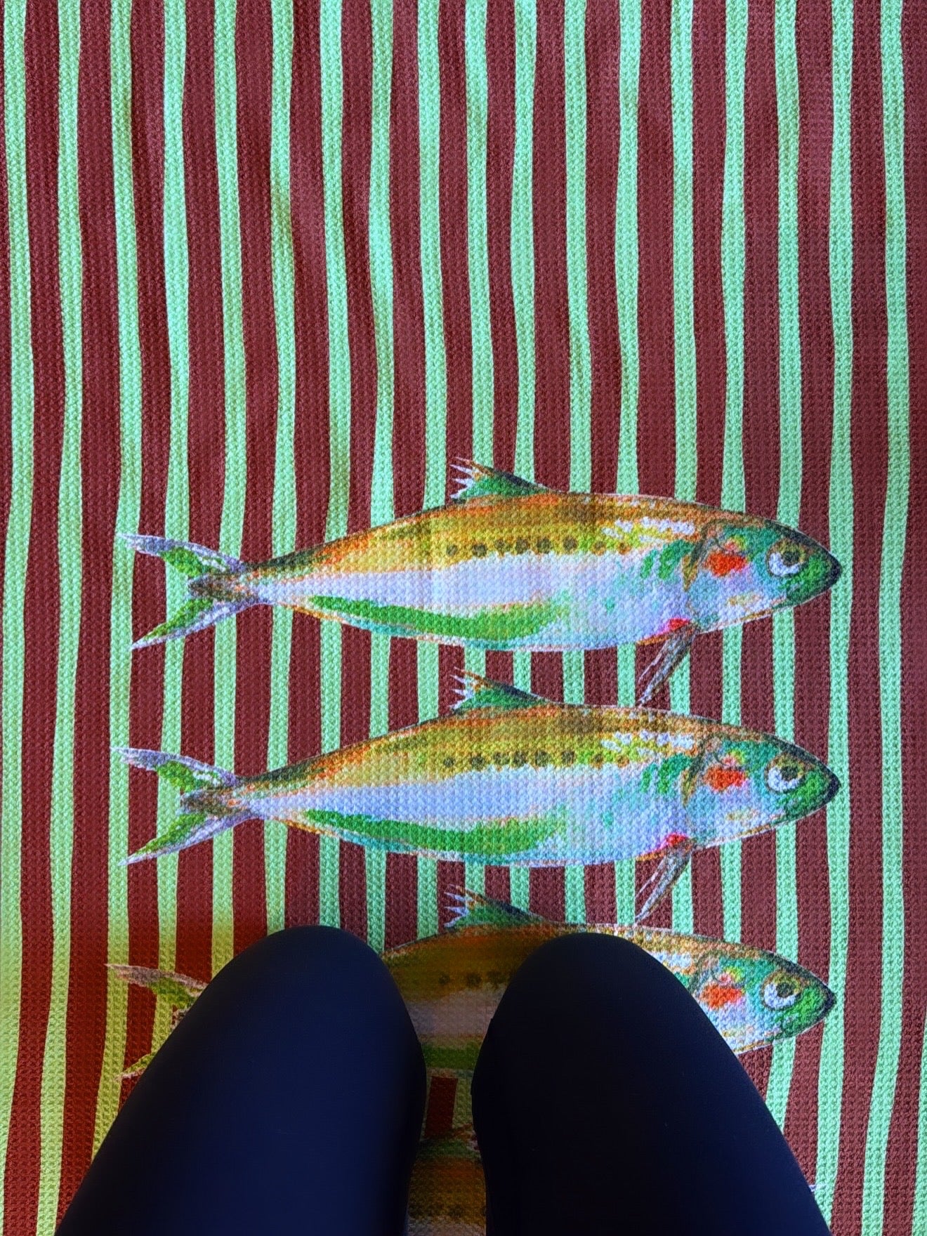 GO FISH: chocolate + pistachio