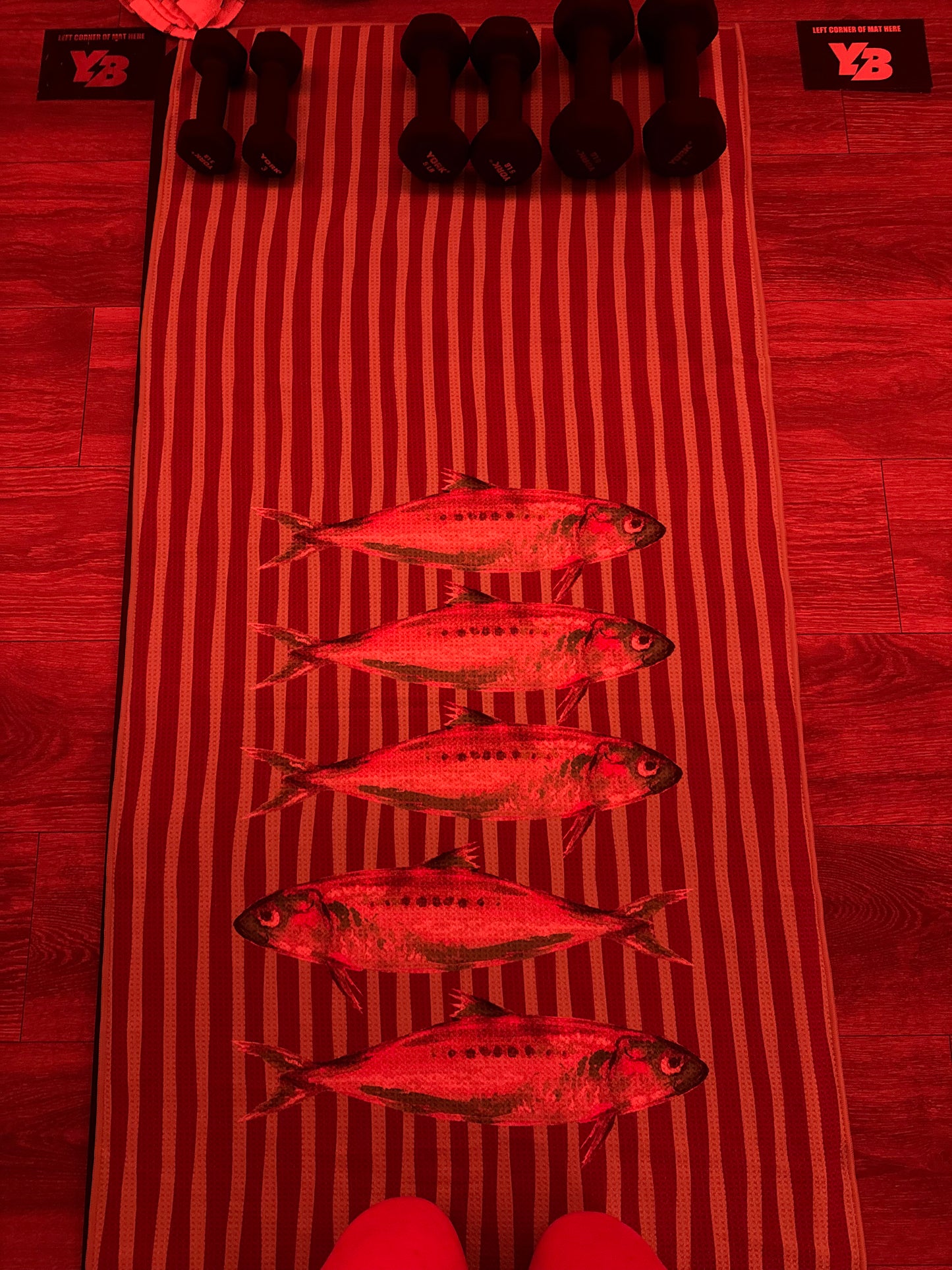 GO FISH: chocolate + pistachio