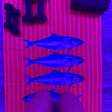 GO FISH!